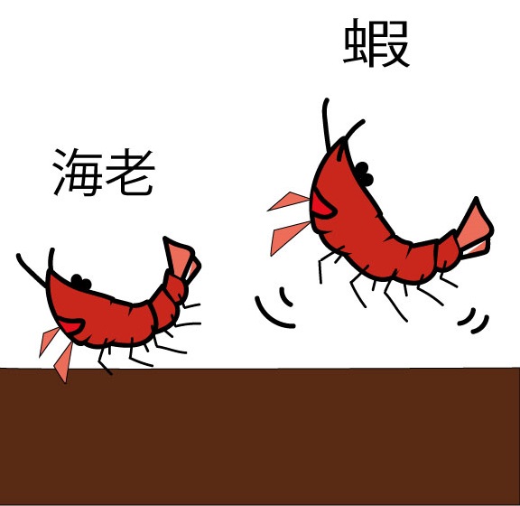 海老と蝦