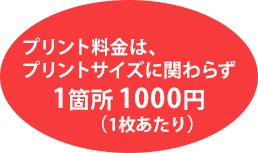 1箇所1000円